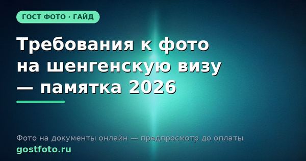 Требования к фото на шенгенскую визу — памятка 2026